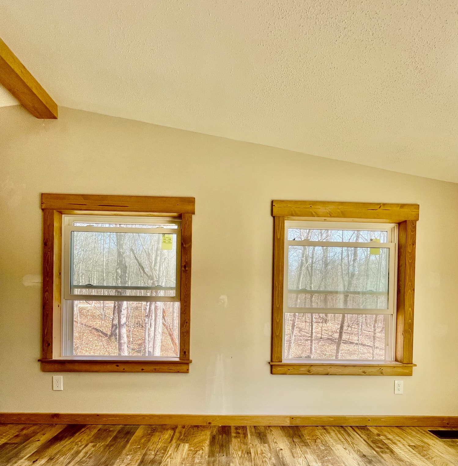 Two windows with thick wooden frames overlooking a forest of bare trees from inside.