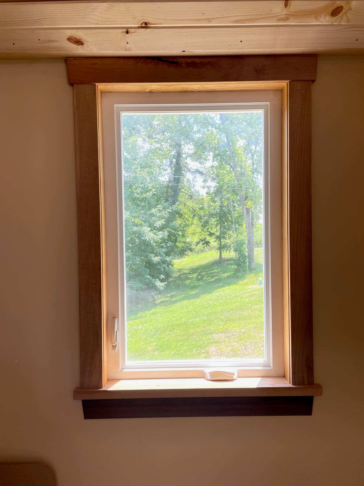 Rectangular window with wood trim looking out onto a sunlit green lawn and trees.